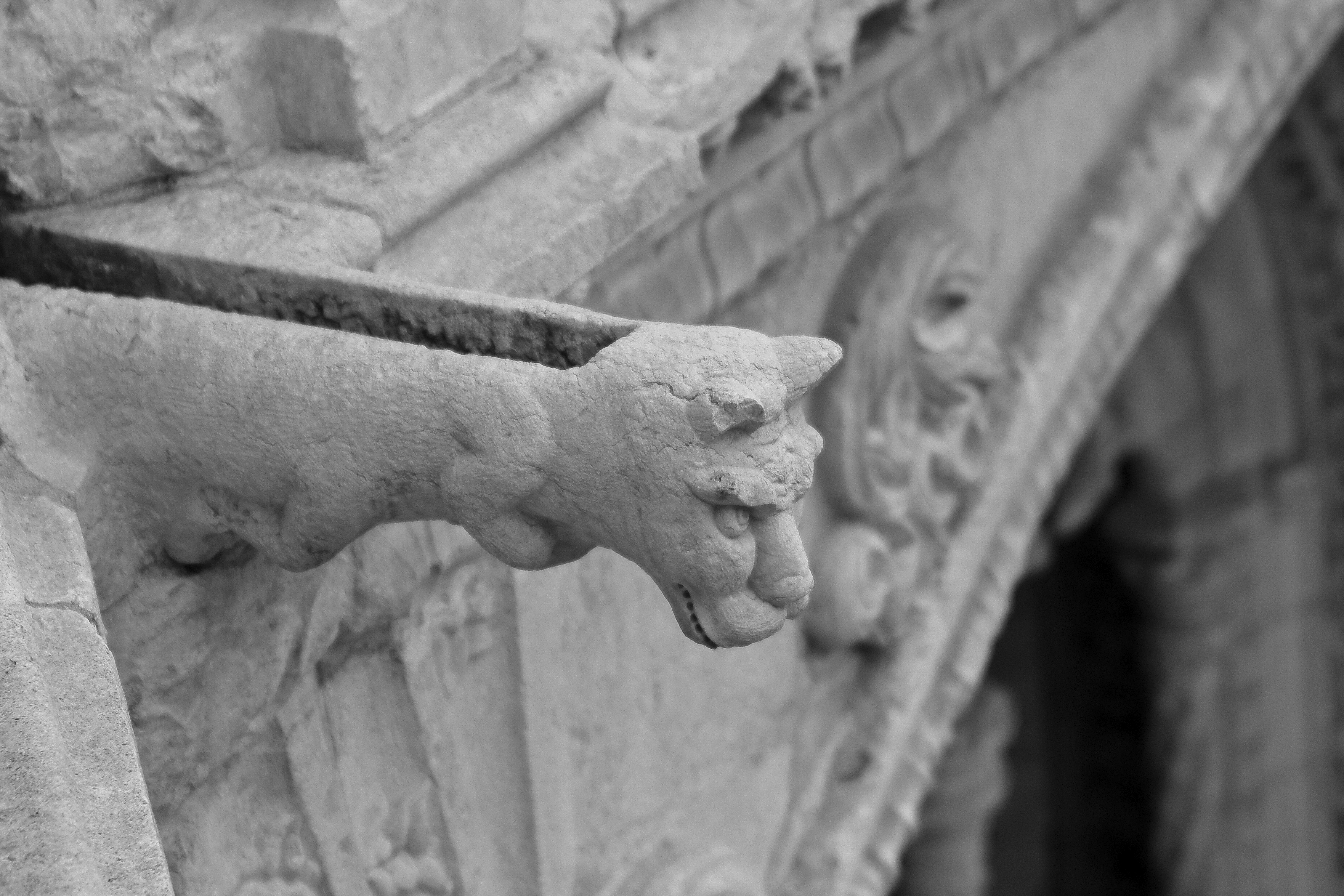 A gargoyle on Notre Dame Cathedral.