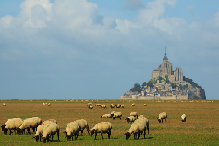 Cloister of Mont Saint Michel.