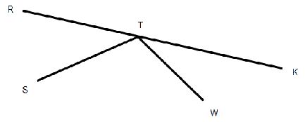 A straight angle R T K has rays T to S and T to W coming out of one side