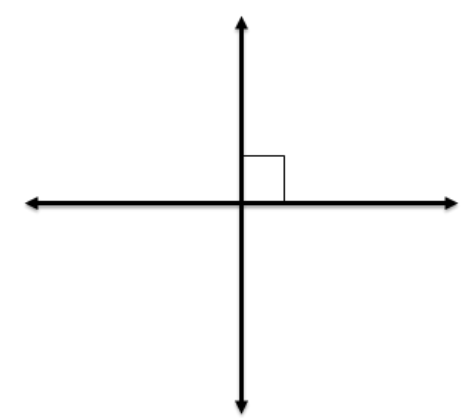 the x axis and y axis are shown forming a right angle