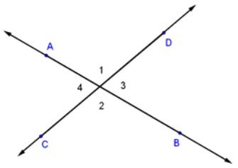 Lines A B and C D cross each other forming four angles. The angles diagonal from each other have equivalent values