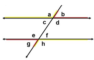 a transversal intersecting two lines, the transversal forms vertical angles a and d and vertical angles c and b with the first line; the transversal forms vertical angles e and h and vertical angles g and f with the second line; showing angles a and h to be alternate exterior angles and angles b and g to be alternate exterior angles