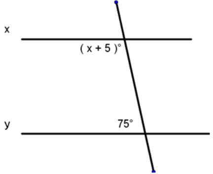 Line x is above line y and they are a pair of horizontal lines that are cut by a transversal. The angle to the bottom left of the intersection with line x has value x + 5. The angle to the bottom left of the intersection with line y has value 75