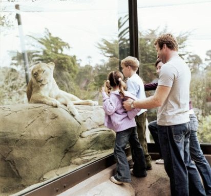 family looking at animals at the zoo