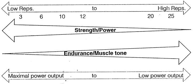 Muscular Endurance: Training for Low Weight, High Rep Workouts