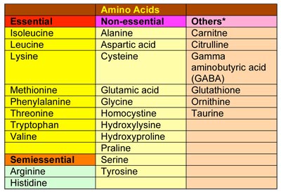 Chart listing the essential, non-essential, and other amino acids. You will not need to know these.