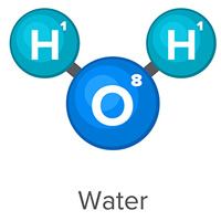 water molecule