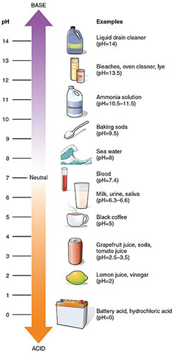 pH scale shows number indicators from base to neutral to acid.