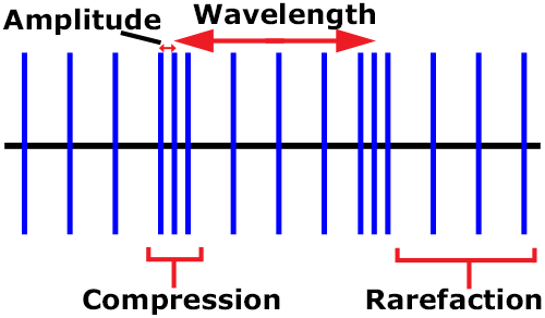 labeled longitudinal wave