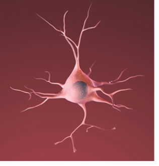 "Image of a microscopic image of a healthy neuron"