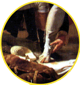 Napoleon wounded ankle