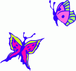 Butterflies