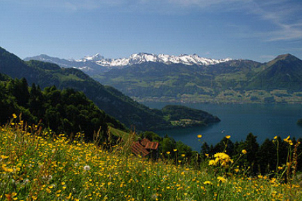 Swiss Landscape