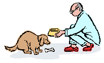 feeding a dog