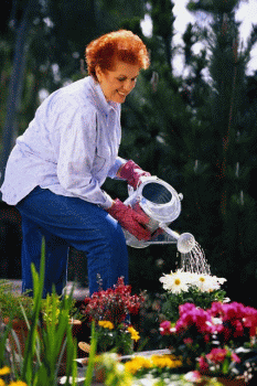 gardening