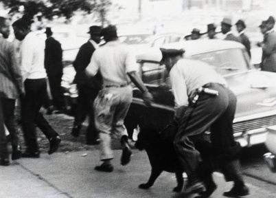 Police Officer with Dog Disperses Segregation Protesters